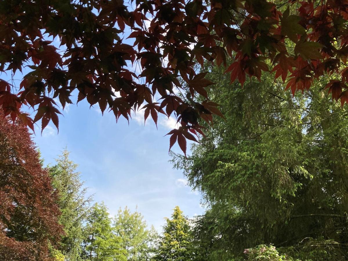 ブレアゴーリー Heathpark House Bed & Breakfast エクステリア 写真